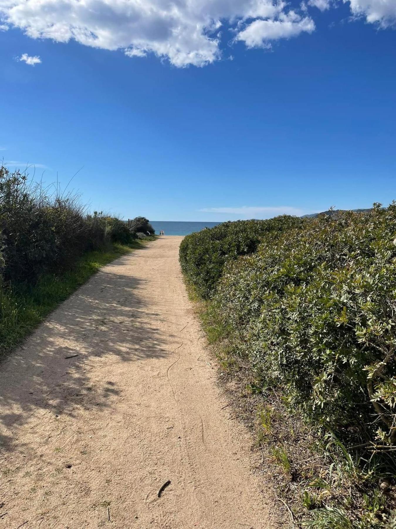 La Belle Vie F4 Bord De Plage Avec Jardin Calcatoggio  Exteriör bild